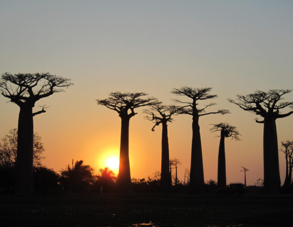 Les 7 Merveilles De Madagascar Baobab Tours