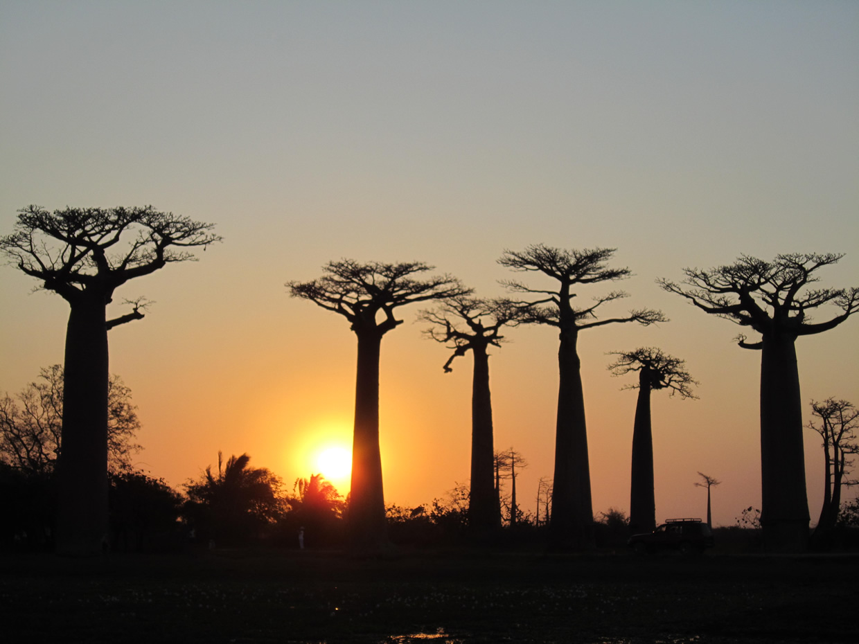 Les 7 Merveilles De Madagascar Baobab Tours