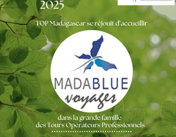 Nouveau membre de TOP Madagascar : Mada Blue