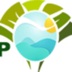 Illustration du profil de top